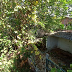 Casa à venda com 5 quartos, sendo 1 suíte, em Jardim Itália, Itapetininga, SP