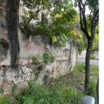 Terreno à venda em Vila Guilherme, São Paulo, SP