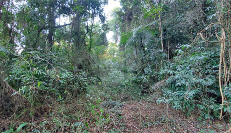 Terreno à venda no condomínio Sausalito, Mairiporã - SP