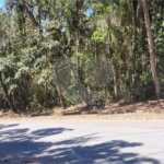 Condomínio à venda em Serra da Cantareira, Mairiporã, SP