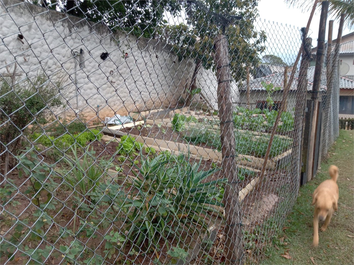 Casa à venda com 4 suítes no condomínio Alpes de Mairiporã, Mairiporã - SP