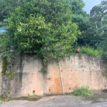 Casa à venda com 2 quartos em Serra da Cantareira, Mairiporã, SP