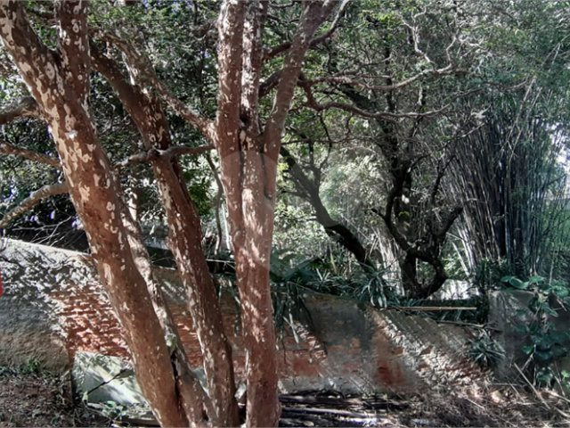 Terreno à venda em Santa Teresinha, São Paulo, SP