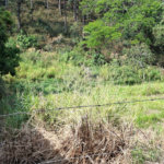 Terreno à venda em Chácara Fernão Dias, Bragança Paulista, SP