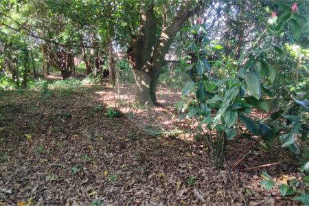 Terreno à venda - Vila São José