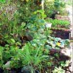 Casa à venda com 4 quartos, sendo 2 suítes, no condomínio Vinhas da Vista Alegre - Lado Sede, Vinhedo - SP