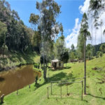Sítio à venda com 2 quartos, sendo 1 suíte, no Centro, Salesópolis, SP