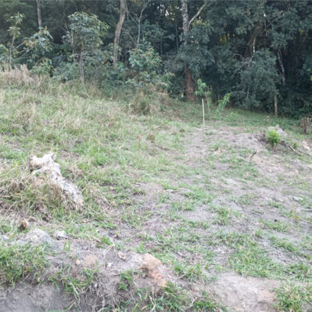 Terreno à venda em Vila Darcy Penteado (mailasqui), São Roque, SP