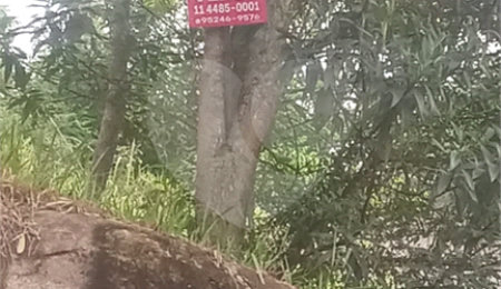 Terreno à venda em Luiz Fagundes, Mairiporã, SP