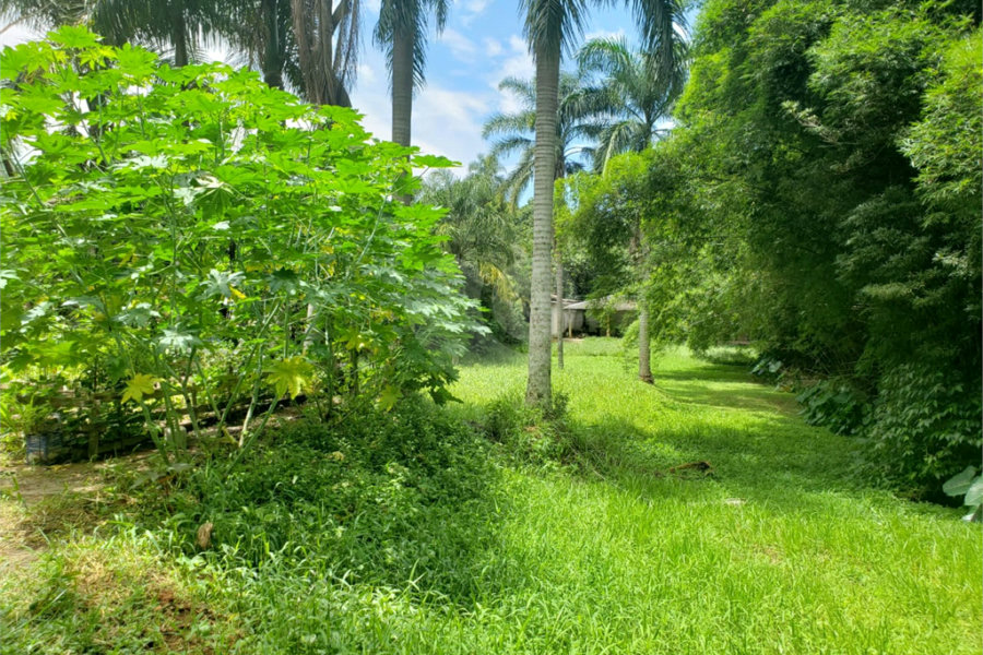 Terreno à venda em Horto, São Paulo, SP