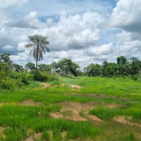 Terreno à venda no Centro, Santo Antônio do Leverger, MT