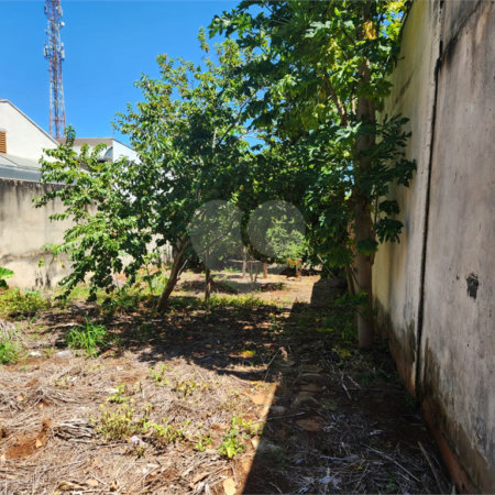 Terreno à venda em Vila Harmonia, Araraquara, SP