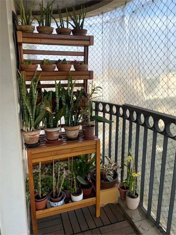 Apartamento à venda com 4 quartos, sendo 2 suítes,  em Vila Andrade, São Paulo, SP