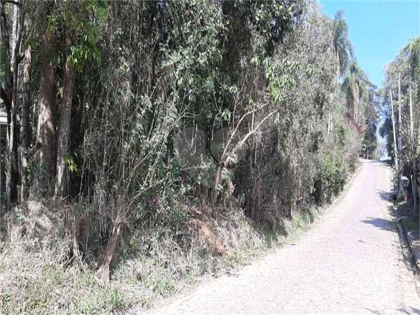 Terreno à venda em Serra da Cantareira, Mairiporã, SP