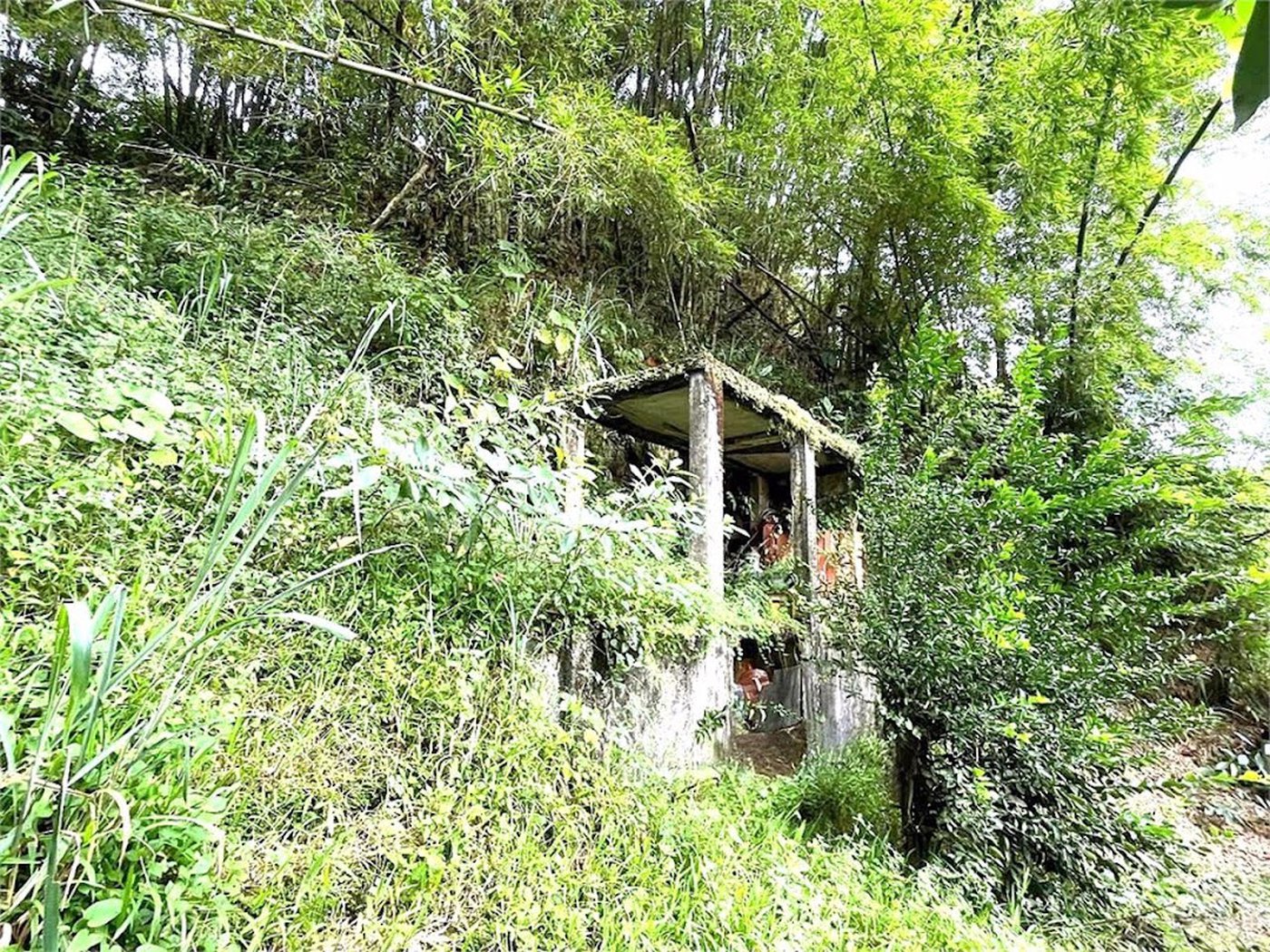 Terreno Residencial à venda, Morro de Nova Cintra, Santos - TE0034.