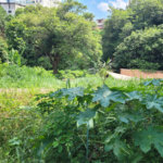 Terreno à venda com 1 quarto em Água Fria, São Paulo, SP