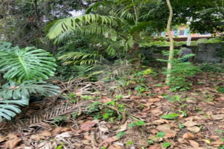 Terreno à venda em Jardim Leonor, São Paulo, SP