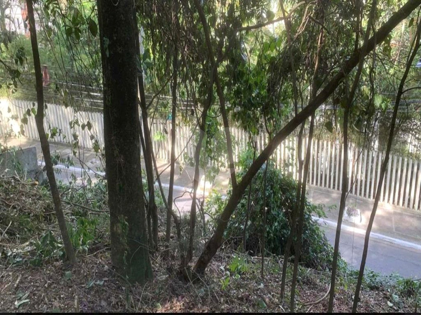 Terreno à venda em Jardim Peri Peri, São Paulo, SP