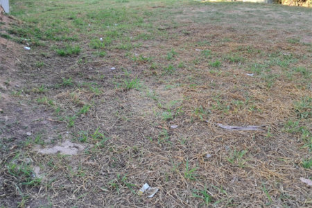 Terreno à venda em Jardim Ypê, Paulínia, SP