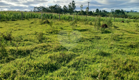 Terreno à venda em Área Rural de Guareí, Guareí, SP