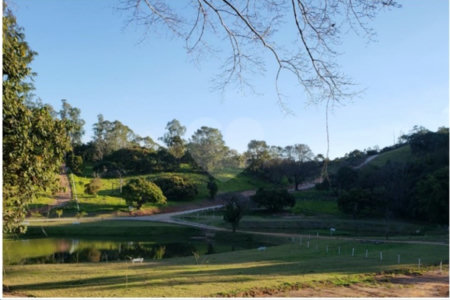 Fazenda Elisa / Atibaia