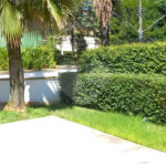 Sobrado à venda ou para alugar com 7 quartos, sendo 4 suítes,  em Cidade Jardim, São Paulo, SP