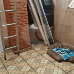 Sobrado à venda com 3 quartos, sendo 1 suíte,  em Vila Nova Cintra, Mogi das Cruzes, SP