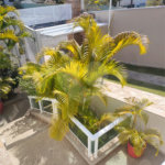 Casa à venda com 3 suítes no condomínio Estância Marambaia, Vinhedo - SP