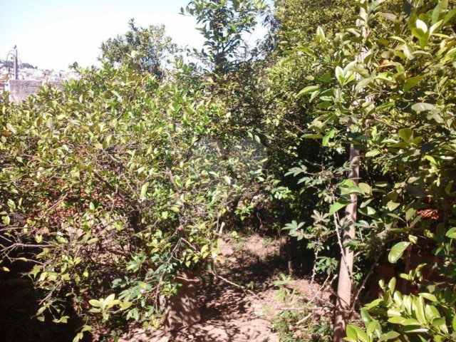 Terreno à venda em Tremembé, São Paulo, SP