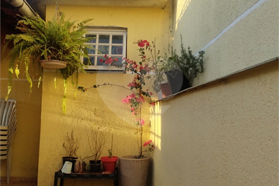 Sobrado à venda com 3 quartos, sendo 1 suíte, em Vila Guilherme, São Paulo, SP