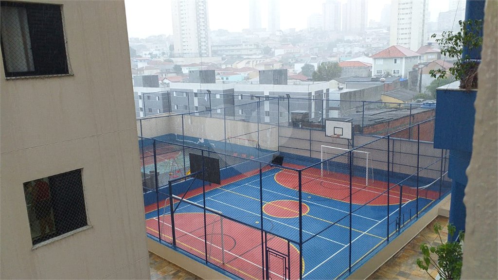 Apartamento à venda com 3 quartos, sendo 1 suíte, em Tucuruvi, São Paulo, SP