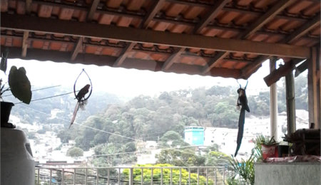 Sobrado à venda com 3 quartos, sendo 1 suíte, em Tremembé, São Paulo, SP