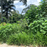 Terreno à venda em Roseira, Mairiporã, SP