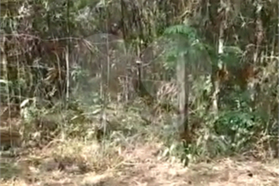 Terreno à venda em Luiz Fagundes, Mairiporã, SP