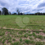 Loteamento no Condomínio Vila Pinhal do Broa