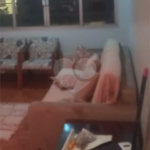 Apartamento à venda com 2 quartos em Ipiranga, São Paulo, SP