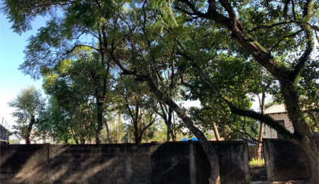 Terreno à venda em Vila Tramontano, São Paulo, SP