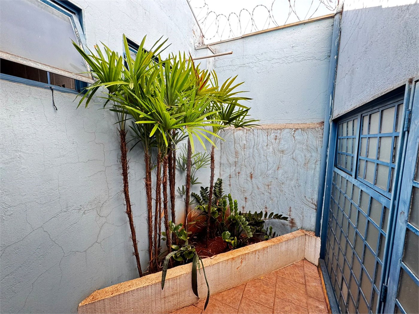 Casa à venda com 3 quartos, sendo 1 suíte, em Vila Monte Alegre, Ribeirão Preto, SP
