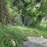 Terreno à venda ou para alugar no Centro, Atibaia, SP