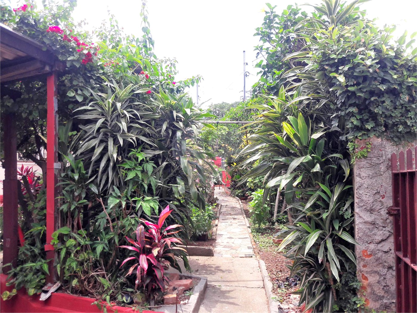 Terreno à venda com 2 quartos em Tremembé, São Paulo, SP