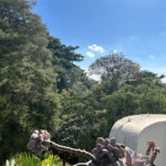 Apartamento à venda com 3 quartos em Vila Suzana, São Paulo, SP