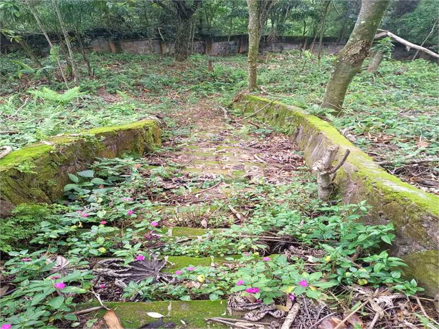 Terreno à venda no condomínio Associação Reserva das Hortênsias, Mairiporã - SP