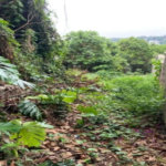 Terreno à venda em Jardim Leonor, São Paulo, SP