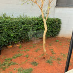 Apartamento à venda com 2 quartos em Vila Inglesa, São Paulo, SP