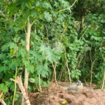 Terreno à venda no condomínio Gleba B1, Mairiporã - SP