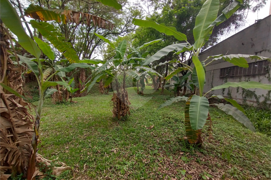 Terreno à venda em Jardim Bela Vista, Guarulhos, SP