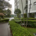 Apartamento à venda com 2 quartos em Mandaqui, São Paulo, SP