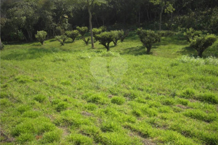 Área de Terra à venda em Porteira Preta, Mogi das Cruzes, SP