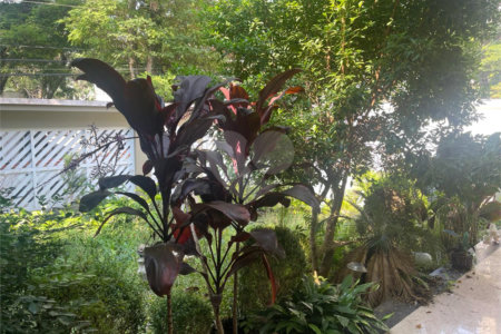 Casa de Vila à venda com 3 quartos, sendo 1 suíte, em Jardim Hípico, São Paulo, SP