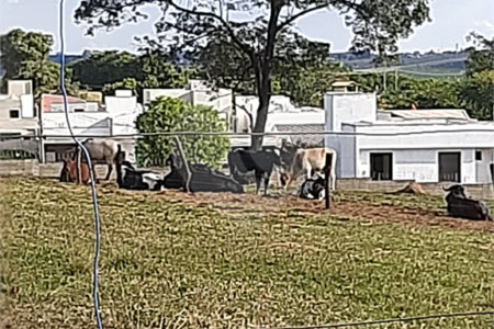 Área de Terra à venda em Chácaras Residenciais Santa Maria, Votorantim, SP